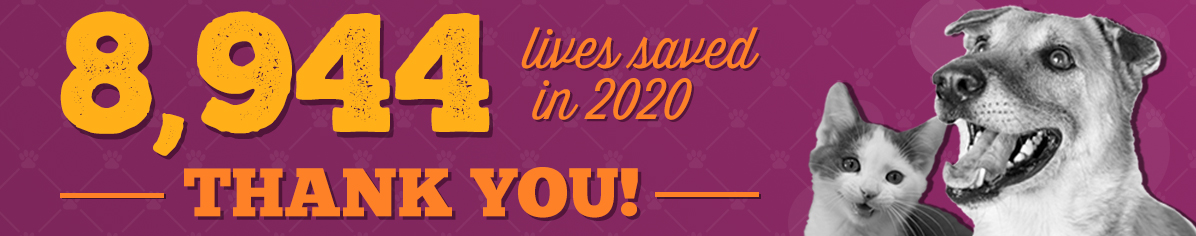 2020 Lives Saved